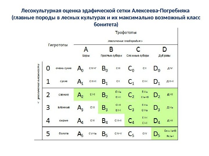 Лесокультурная оценка эдафической сетки Алексеева-Погребняка (главные породы в лесных культурах и их максимально возможный