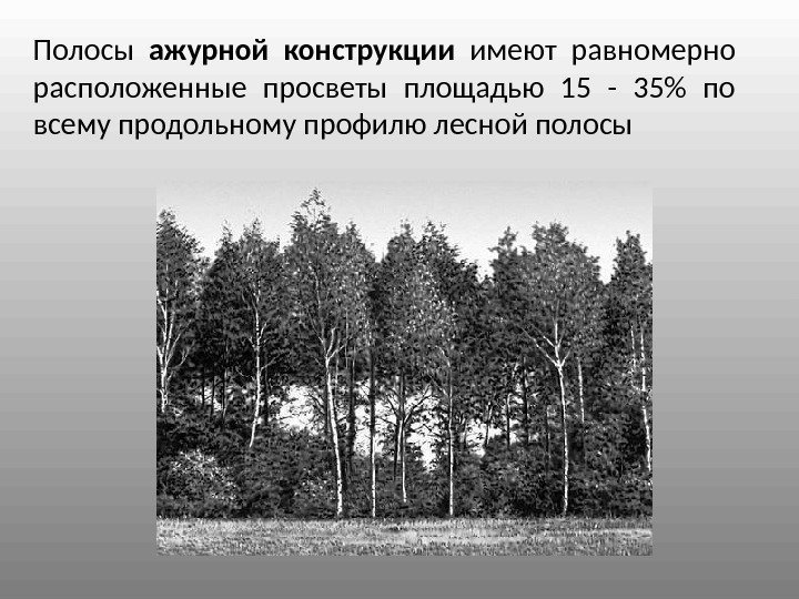 Полосы ажурной конструкции  имеют равномерно расположенные просветы площадью 15 - 35 по всему