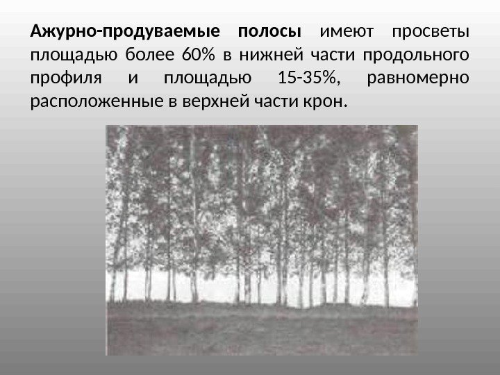 Ажурно-продуваемые полосы имеют просветы площадью более 60 в нижней части продольного профиля и площадью