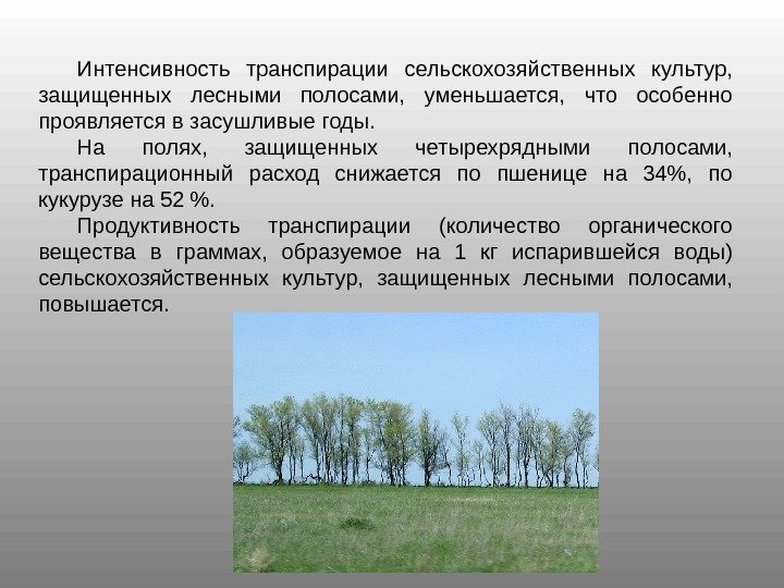 Интенсивность транспирации сельскохозяйственных культур,  защищенных лесными полосами,  уменьшается,  что особенно проявляется