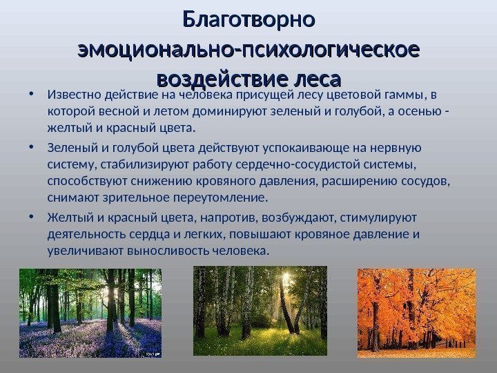 Благотворно эмоционально-психологическое воздействие леса • Известно действие на человека присущей лесу цветовой гаммы, в