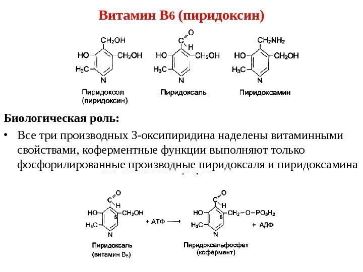 Витамин В 6 (пиридоксин) Биологическая роль :  • Все три производных 3 -оксипиридина