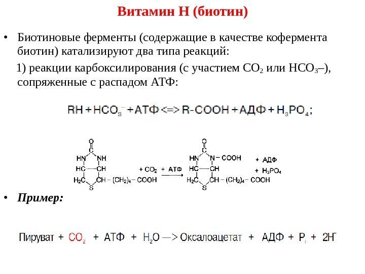  • Биотиновые ферменты (содержащие в качестве кофермента биотин) катализируют два  типа реакций: