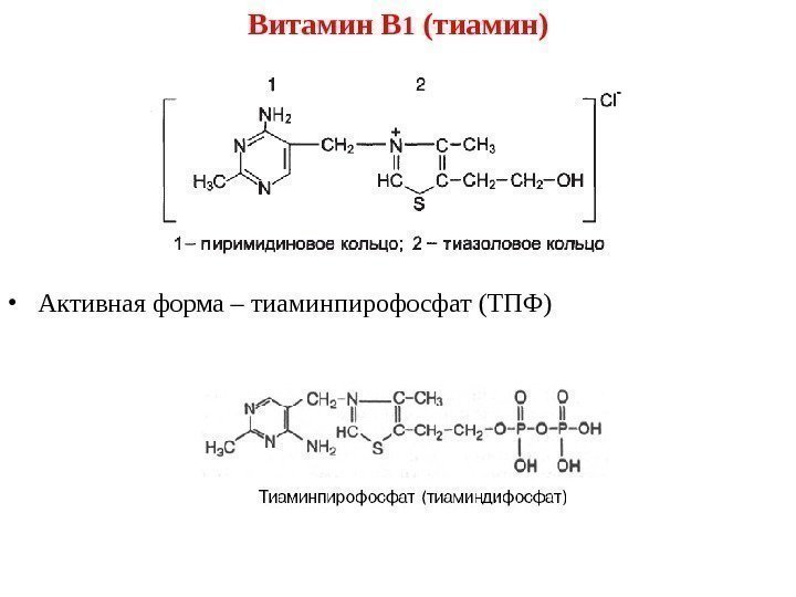 Витамин B 1 ( тиамин ) • Активная форма – тиаминпирофосфат (ТПФ) 