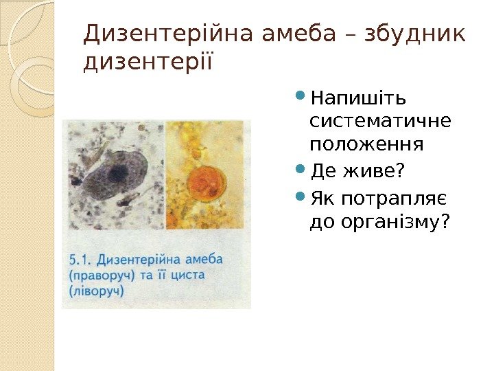 Дизентерійна амеба – збудник дизентерії  Напишіть систематичне положення Де живе?  Як потрапляє