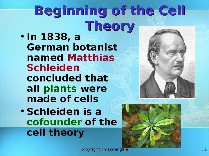 11 Beginning of the Cell Theory • In 1838, a German botanist named Matthias