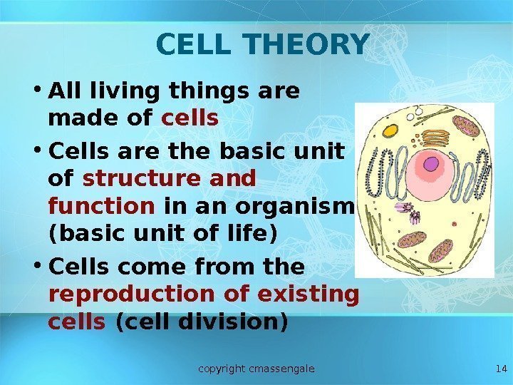 14 CELL THEORY • All living things are made of cells • Cells are