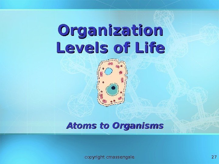 27 Organization Levels of Life Atoms to Organisms copyright cmassengale 
