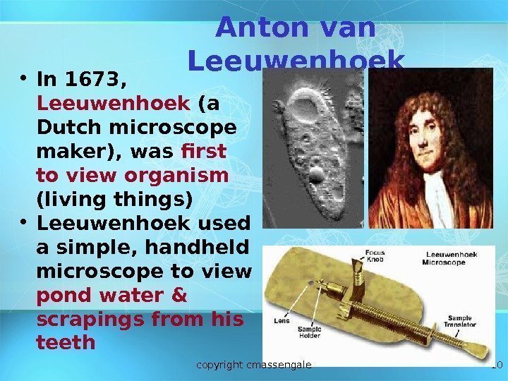 10  Anton van Leeuwenhoek • In 1673,  Leeuwenhoek (a Dutch microscope maker),
