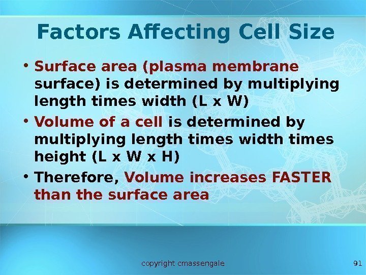 91 Factors Affecting Cell Size • Surface area (plasma membrane  surface) is determined