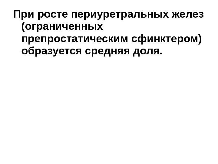 При росте периуретральных желез (ограниченных препростатическим сфинктером) образуется средняя доля.  