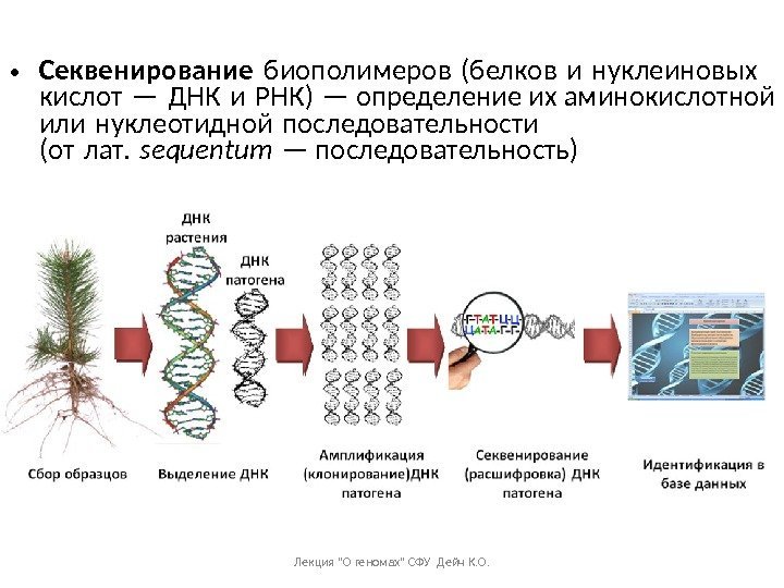  • Секвенирование биополимеров (белков и нуклеиновых  кислот — ДНК и РНК) —