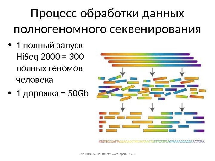 Процесс обработки данных полногеномного секвенирования • 1 полный запуск Hi. Seq 2000 = 300