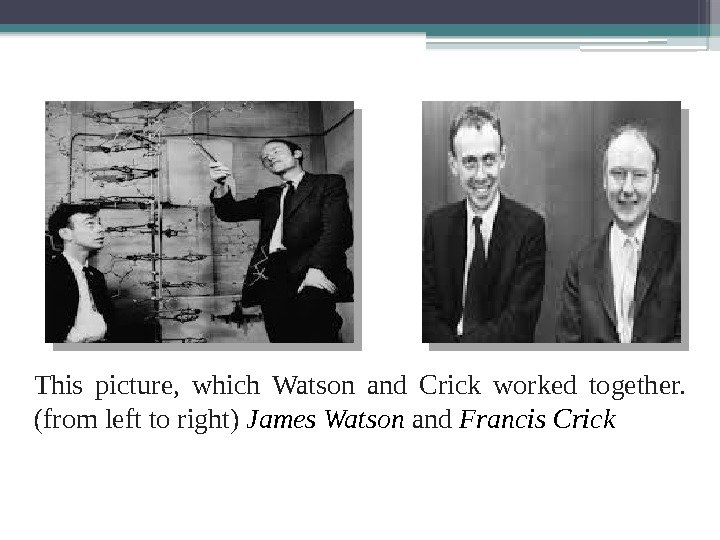 This picture,  which Watson and Crick worked together.  (from left to right)