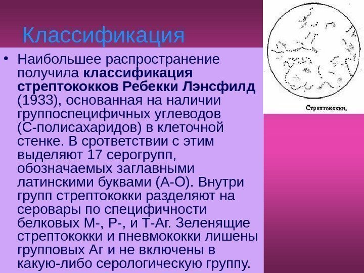   Классификация  • Наибольшее распространение получила классификация стрептококков Ребекки Лэнсфилд  (1933),