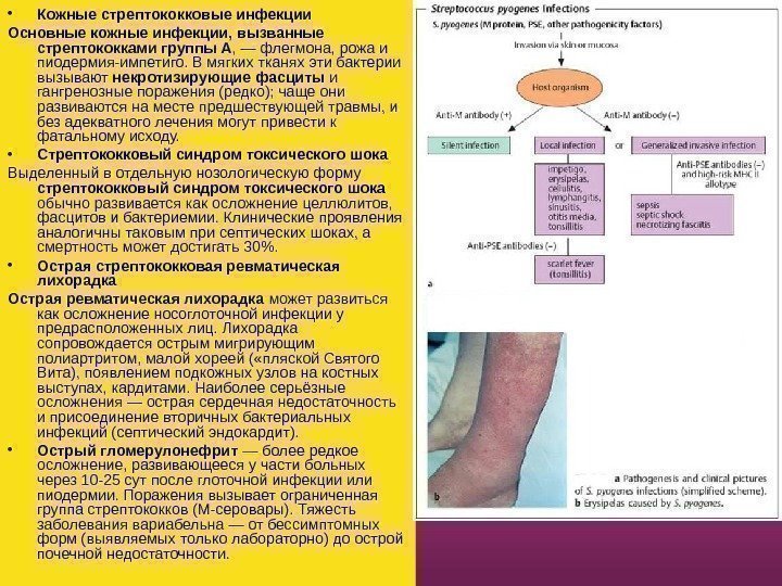   • Кожные стрептококковые инфекции Основные кожные инфекции, вызванные стрептококками группы А ,