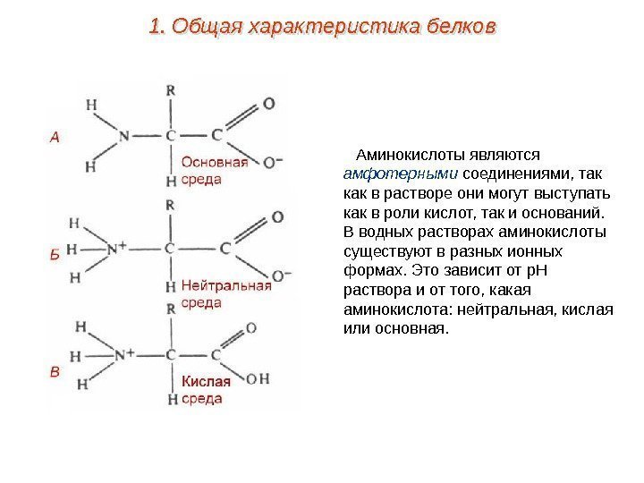 Аминокислоты являются амфотерными соединениями, так как в растворе они могут выступать как в роли