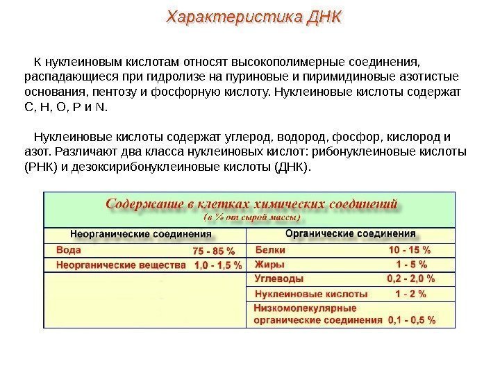 К нуклеиновым кислотам относят высокополимерные соединения,  распадающиеся при гидролизе на пуриновые и пиримидиновые