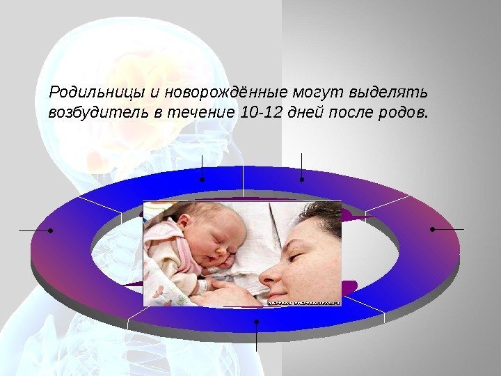 Родильницы и новорождённые могут выделять возбудитель в течение 10 -12 дней после родов. 