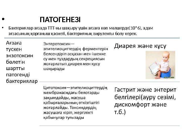   •    ПАТОГЕНЕЗІ • Бактериялар ағзада ТТТ-ны шақыру үшін ағзаға