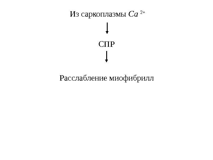  СПР  Из саркоплазмы Са 2+ Расслабление миофибрилл 