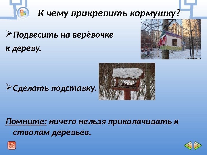 К чему прикрепить кормушку?  Подвесить на верёвочке к дереву.  Сделать подставку. Помните: