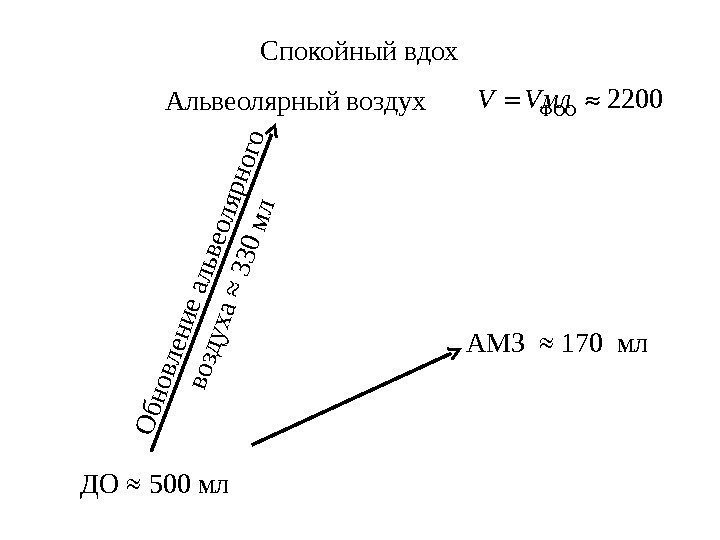 Спокойный вдох2200 V Vмл ДО ≈ 500 мл АМЗ  ≈ 170  мл.