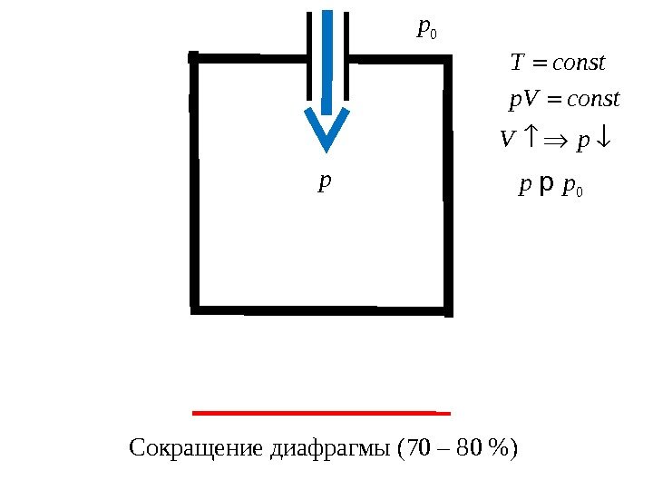 0 p p Сокращение диафрагмы (70 – 80 )T const p. V const V