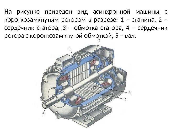 На рисунке приведен вид асинхронной машины с короткозамкнутым ротором в разрезе:  1 –