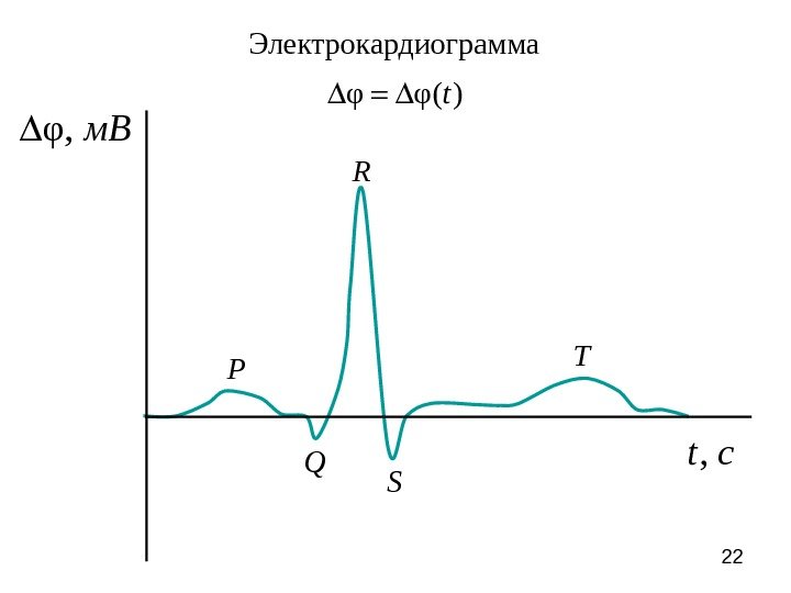 22φ, м. В ct, Электрокардиограмма φ φ( ) t  PQ R S T