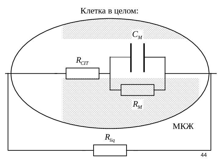 44 Клетка в целом: CITR MC MR МКЖ liq. R 