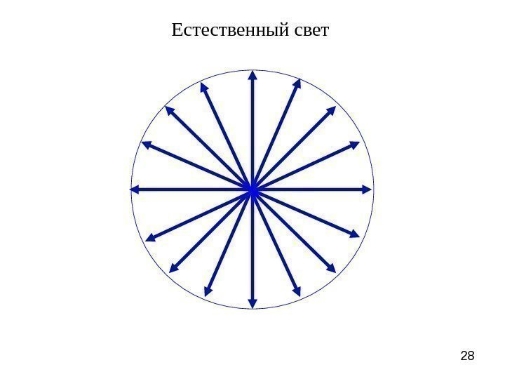 28 Естественный свет 