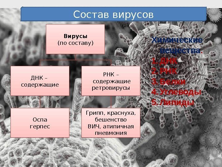 Вирусы (по составу) ДНК – содержащие Оспа герпес РНК –  содержащие ретровирусы Грипп,