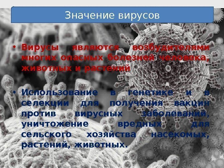  • Вирусы являются возбудителями многих опасных болезней человека,  животных и растений •