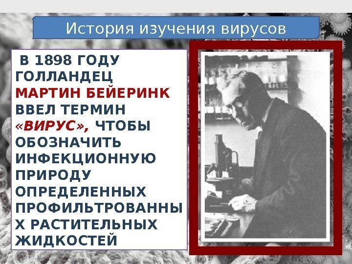  В 1898 ГОДУ ГОЛЛАНДЕЦ  МАРТИН БЕЙЕРИНК  ВВЕЛ ТЕРМИН  «ВИРУС» ,