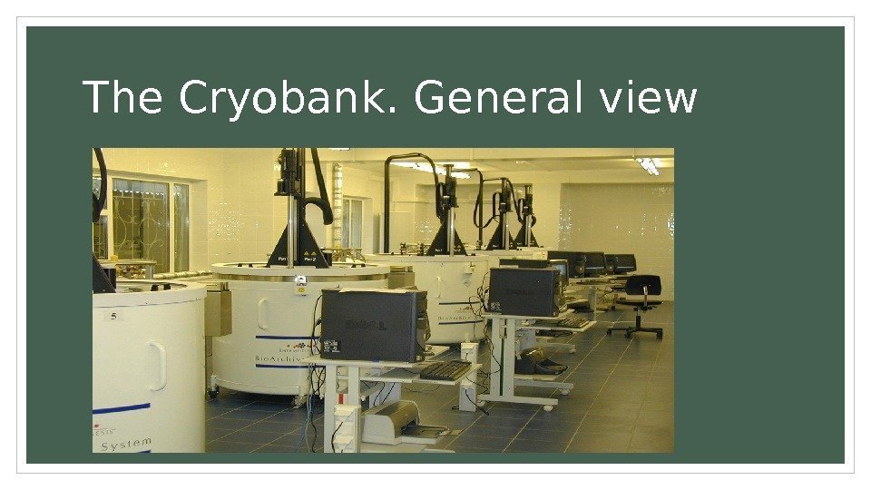 The Cryobank. General view 