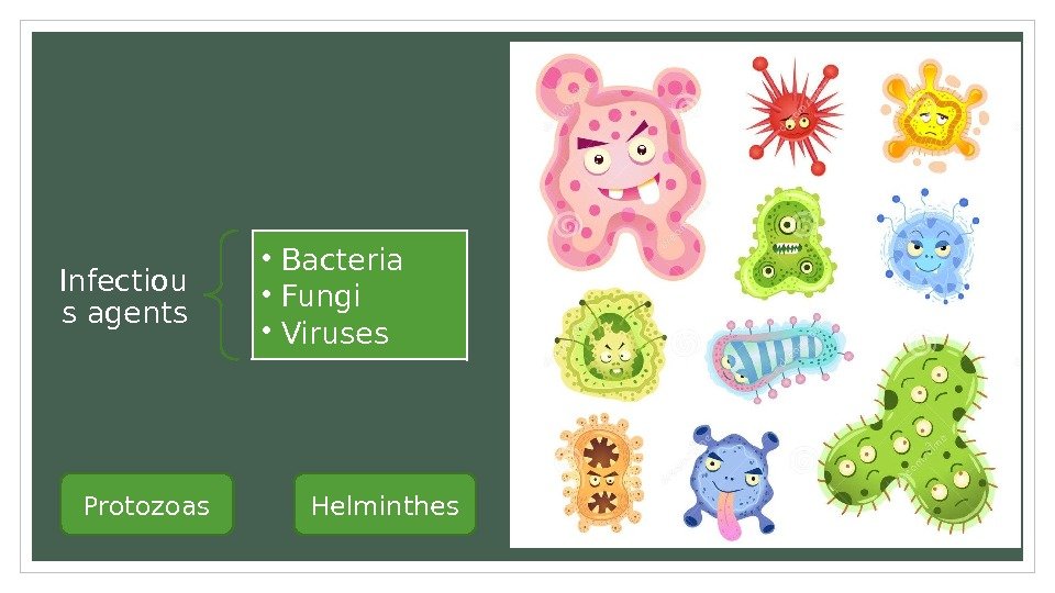 Infectiou s agents • Bacteria • Fungi • Viruses Protozoas Helminthes 