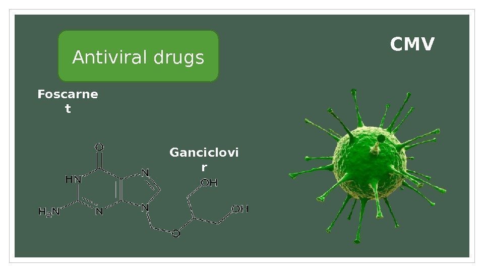 Antiviral drugs CMV Ganciclovi r. Foscarne t 