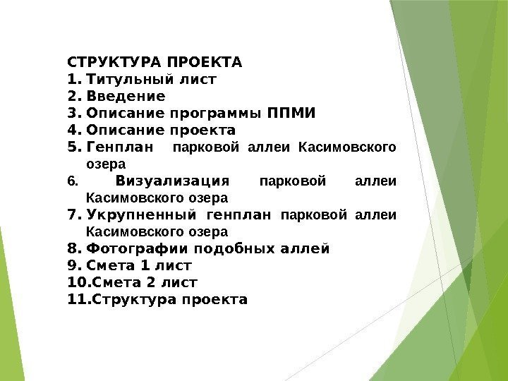 СТРУКТУРА ПРОЕКТА 1. Титульный лист 2. Введение 3. Описание программы ППМИ 4. Описание проекта