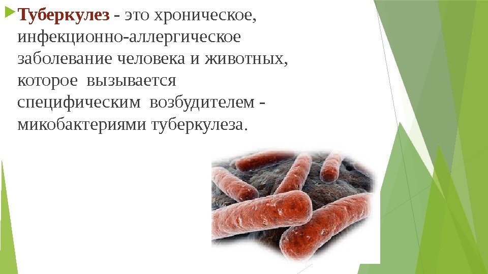 Туберкулез - это хроническое,  инфекционно-аллергическое заболевание человека и животных,  которое вызывается
