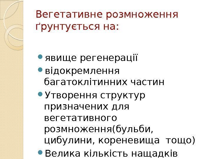 Вегетативне розмноження ґрунтується на:  явище регенерації відокремлення багатоклітинних частин Утворення структур призначених для