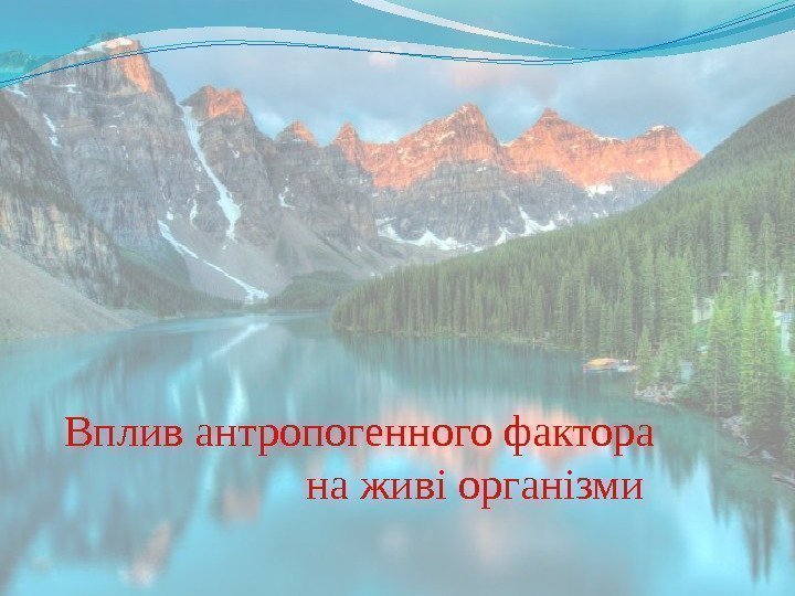 Вплив антропогенного фактора на живі організми  