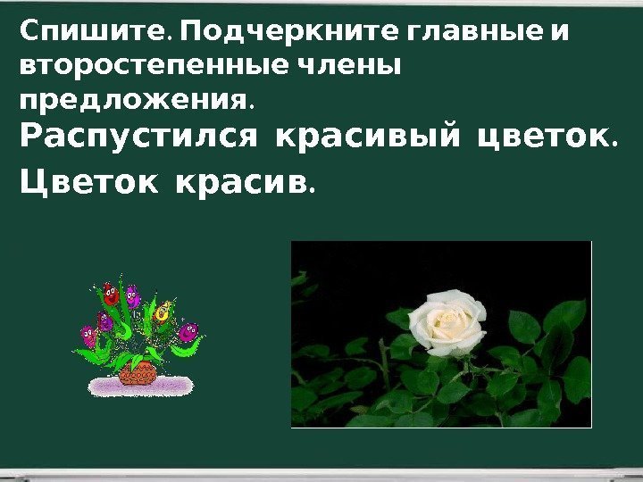  . Распустился красивый цветок  . Цветок красив.   Спишите Подчеркните главные