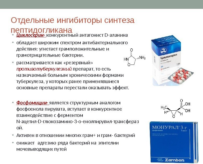 Отдельные ингибиторы синтеза пептидогликана • Циклосерин-  конкурентный антагонист D- аланина • обладает широким