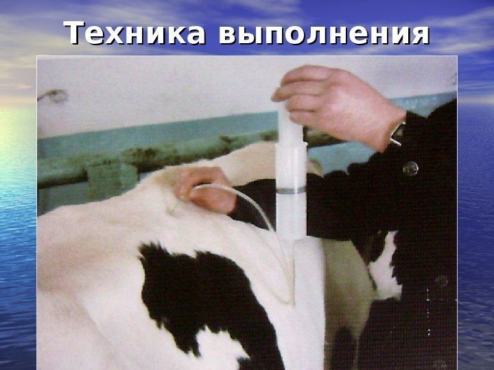 Техника выполнения 