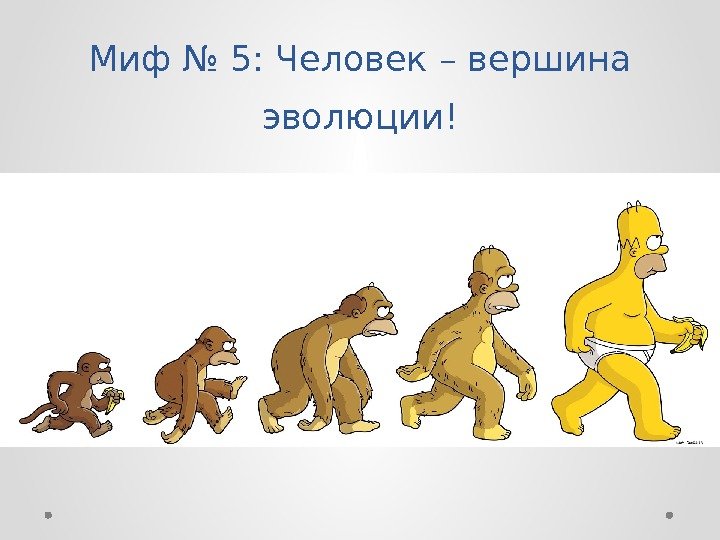 Миф № 5: Человек – вершина эволюции! 