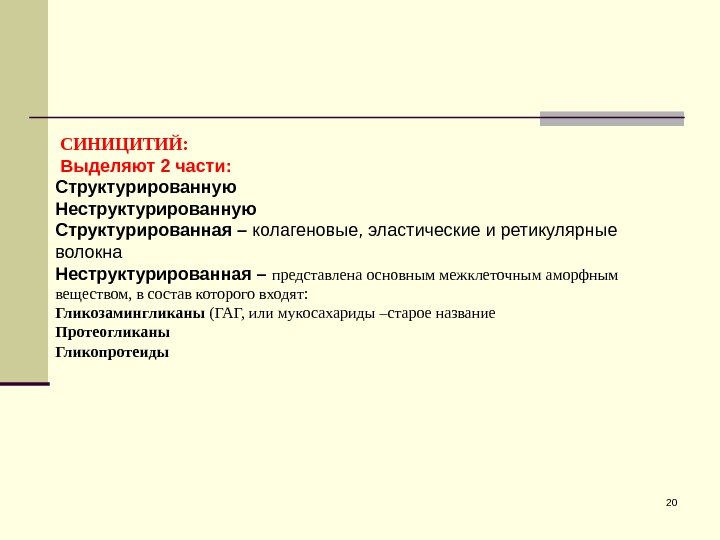 20 СИНИЦИТИЙ:  Выделяют 2 части: Структурированную Неструктурированную Структурированная – колагеновые, эластические и ретикулярные