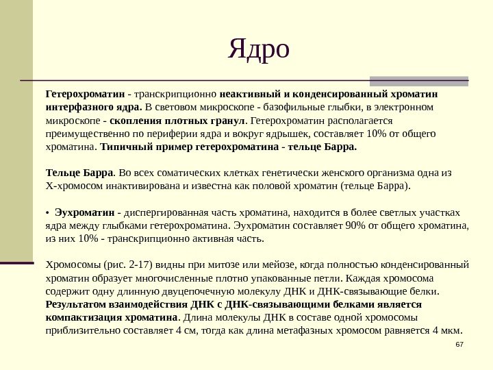 Ядро 67 Гетерохроматин - транскрипционно неактивный и конденсированный хроматин интерфазного ядра.  В световом