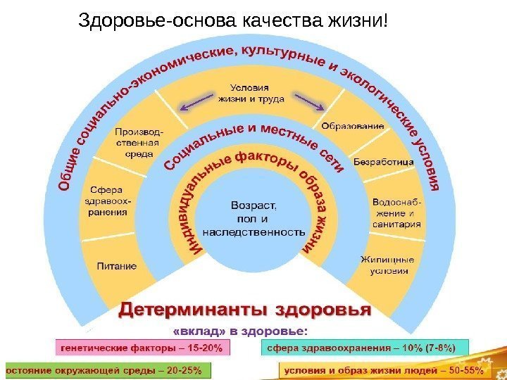 Здоровье-основа качества жизни! 