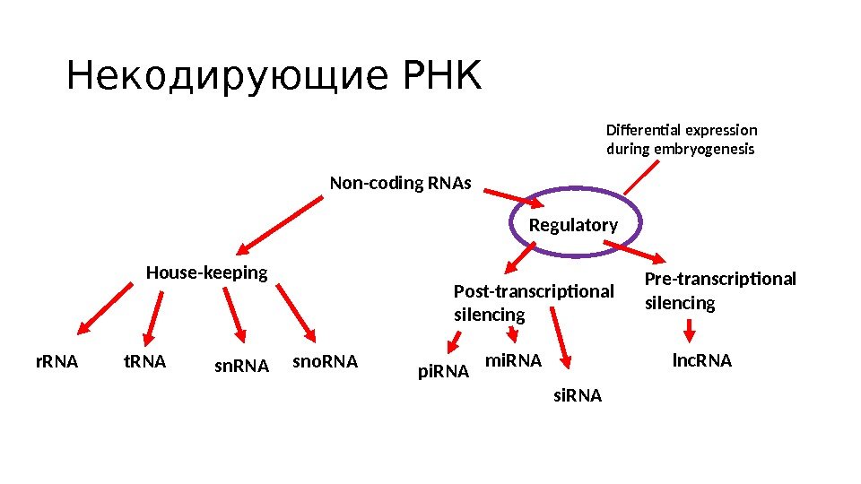 Некодирующие РНК Non-coding RNAs House-keeping Regulatory r. RNA t. RNA sno. RNA Post-transcriptional silencing
